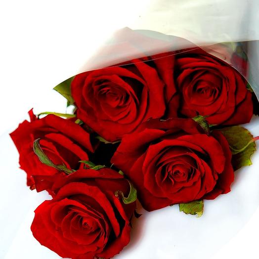 Rosa5