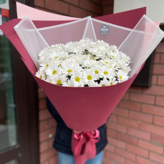 Ромашковый рай 🌼