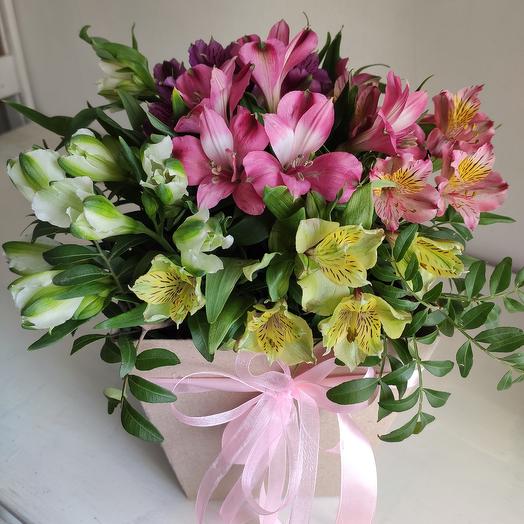 Alstroemeria mix