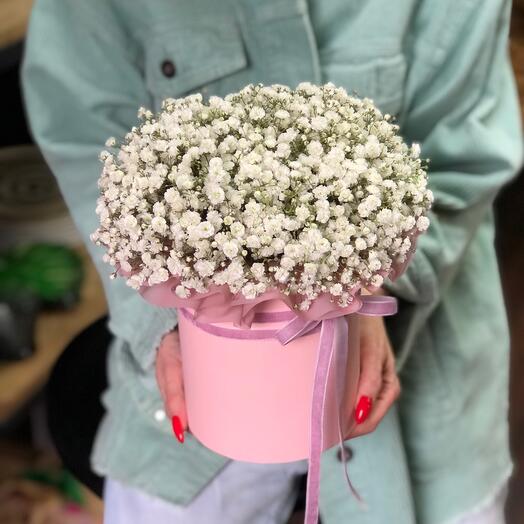 Gypsophila en una Caja