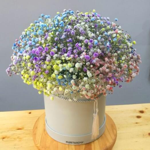 Gypsophila in a box,size L