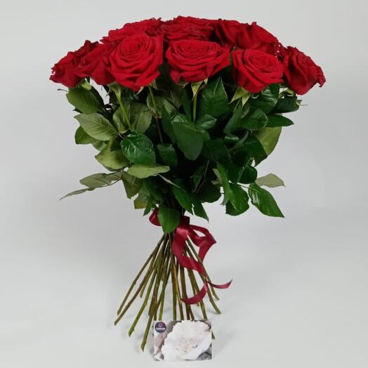 21 rosa VIP 60 cm