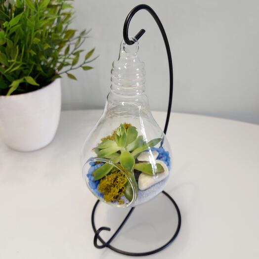 Florarium "Light Bulb"