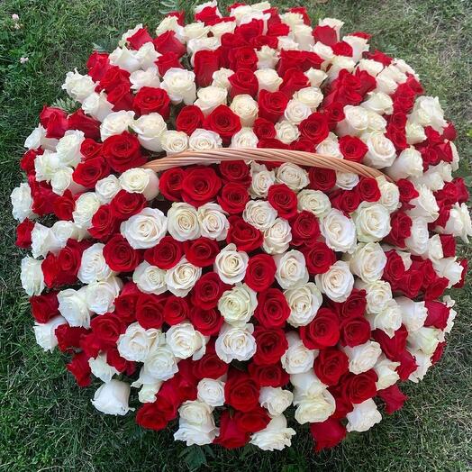 Корзина из 251 розы «Любимой♥️»