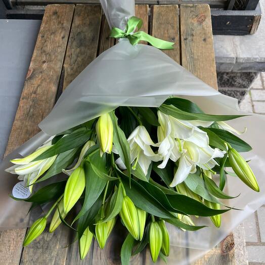 Лилия 5 штук