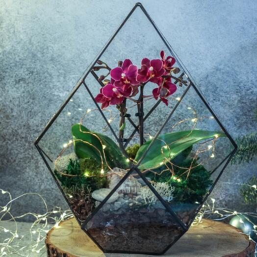 Cristal con orquídea - 099