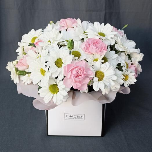 Caja de crisantemo y Dianthus arbustivo