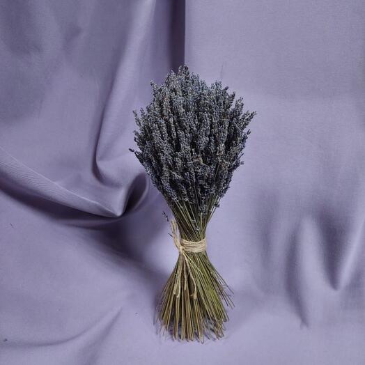 Bouquet of lavender