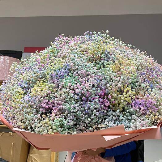 Bouquet of gypsophila