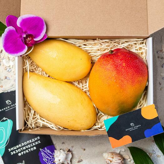Exotica " Mango"