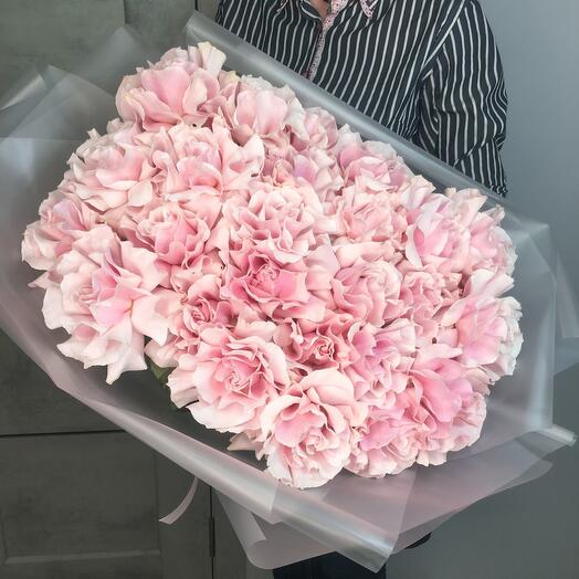 Rosas francesas