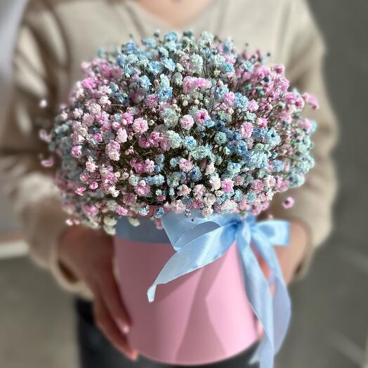 Composición de gypsophila rosa y azul en una Caja