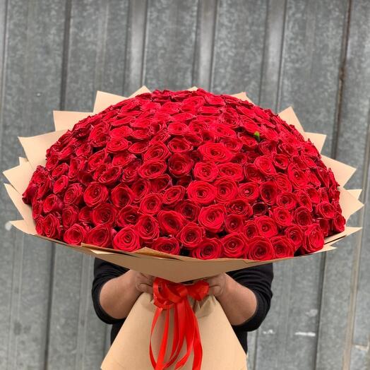 Bouquet of roses