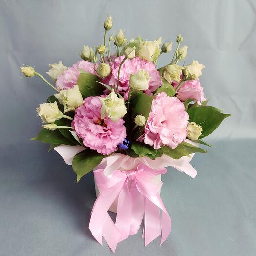 Terry eustoma in a box