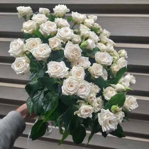 19 белых кустовых роз