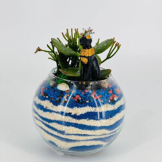 Live succulent plants in a mini florarium with an Egyptian cat