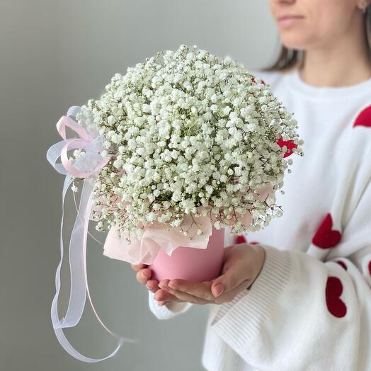 Милая гипсофила в коробочке 🌸