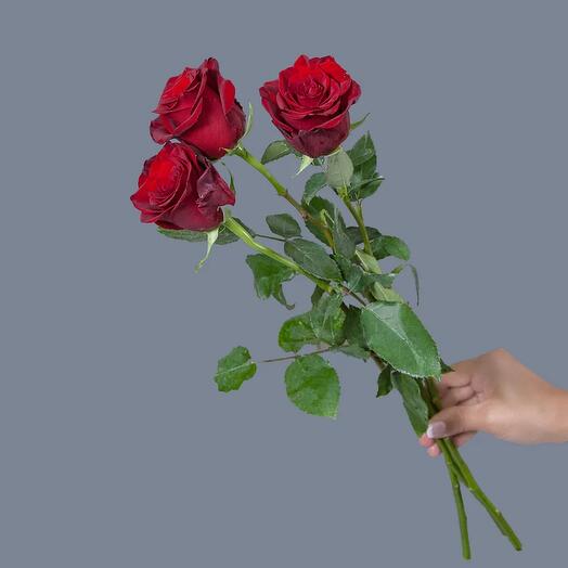 Rosas para TI