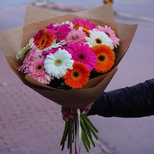 Mysterious gerberas