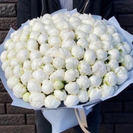 101 white Dutch peony wow effect for her