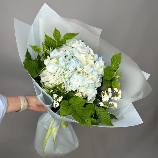 Гортензия и малина / цветы с доставкой в Уфе