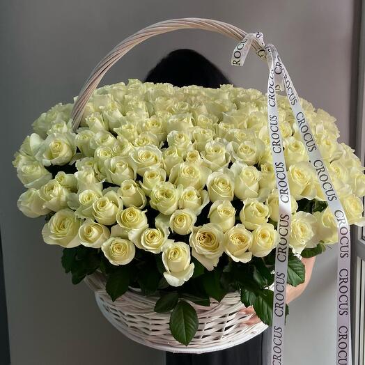 Корзина из 151 белой розы