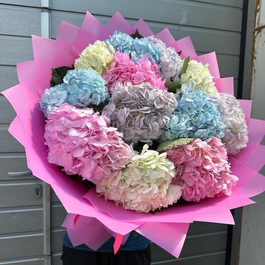 Ramo de Hortensias (Colombia) 🔥 🔥