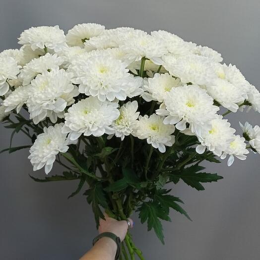 Алтайский край
