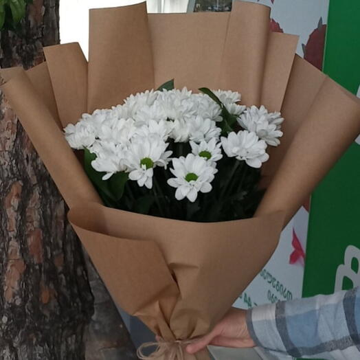 Хризантемы