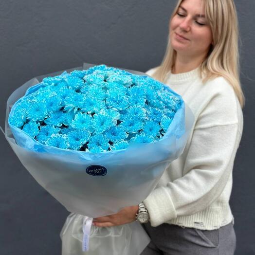 Хризантема кустовая, 15 штук
