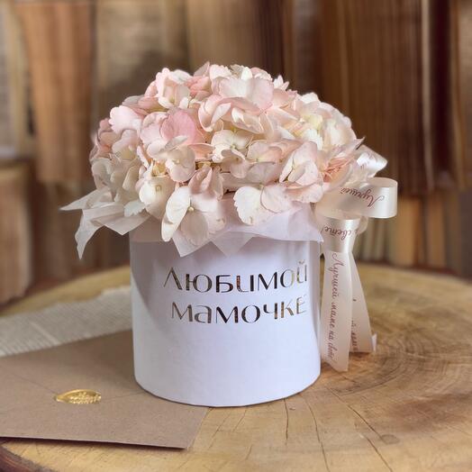 Delicate hydrangea in a hatbox