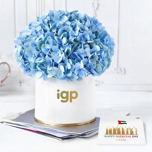 UAE National Day Hydrangea Harmony