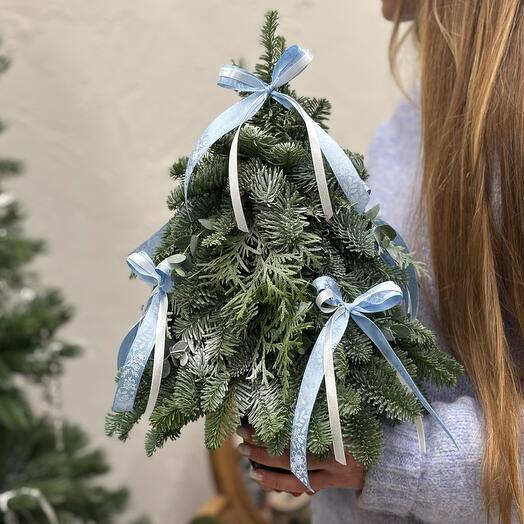 Елочка из нобилиса