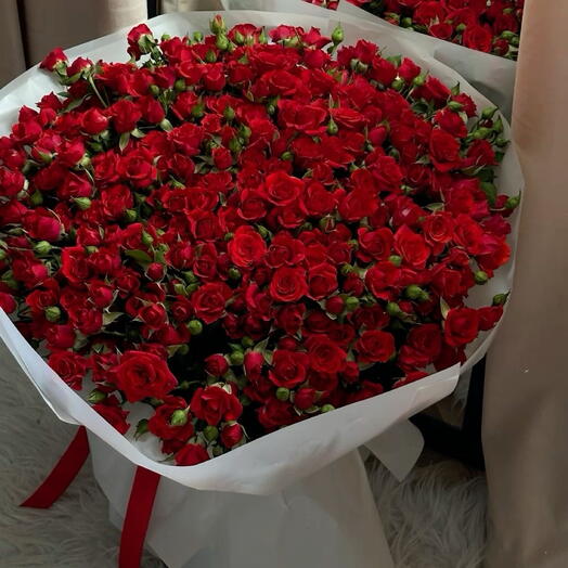 Red babyroses