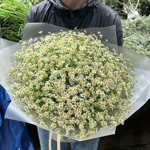 Букет кустовых ромашек