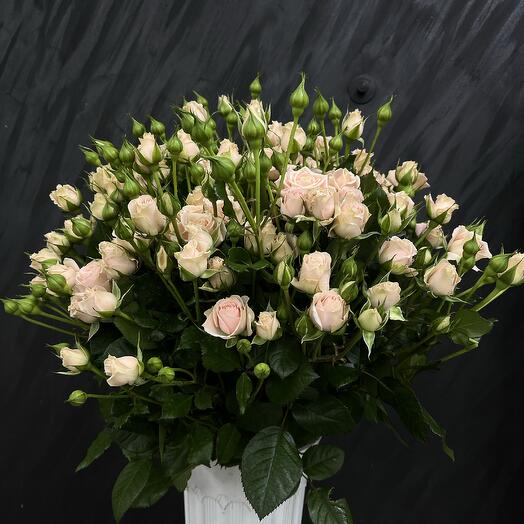 Кустовые розы