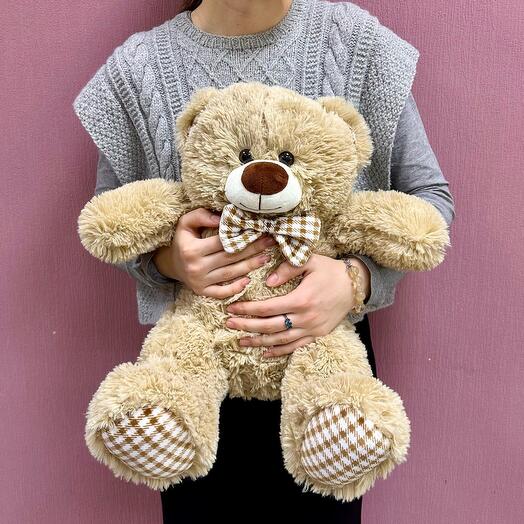 Brown bear 50 cm with a butterfly
