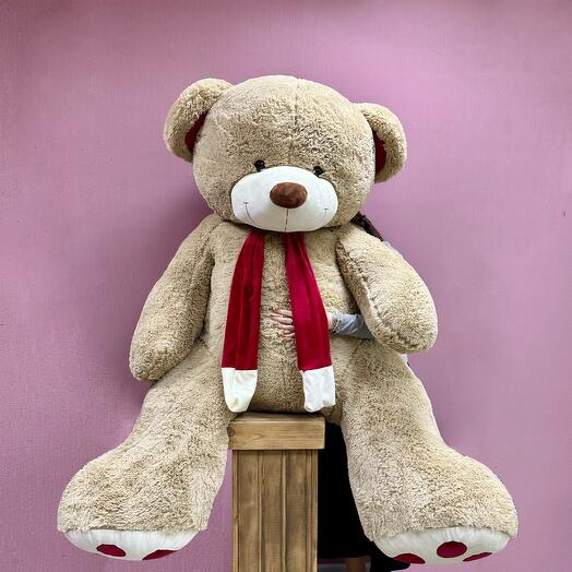Giant brown bear 230 cm
