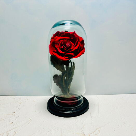 Rosa eterna