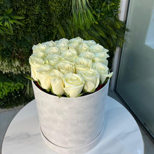 White Roses in White velvet box