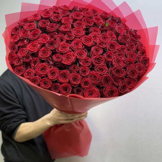 101 красная роза 80см высокие розы