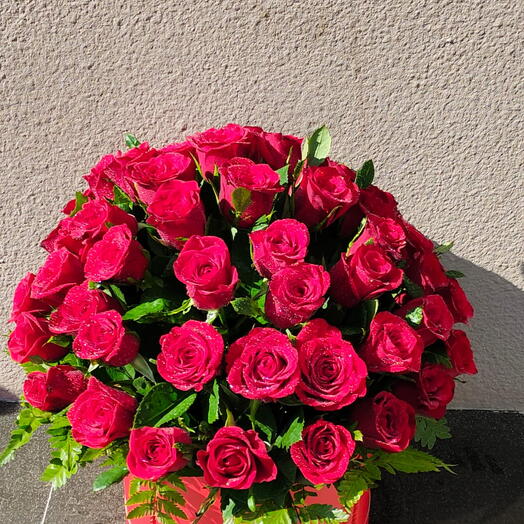 Red in round: 50 Stems of red roses in a red round box