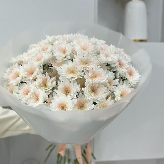 Daisy Double Color Hand Bouquet