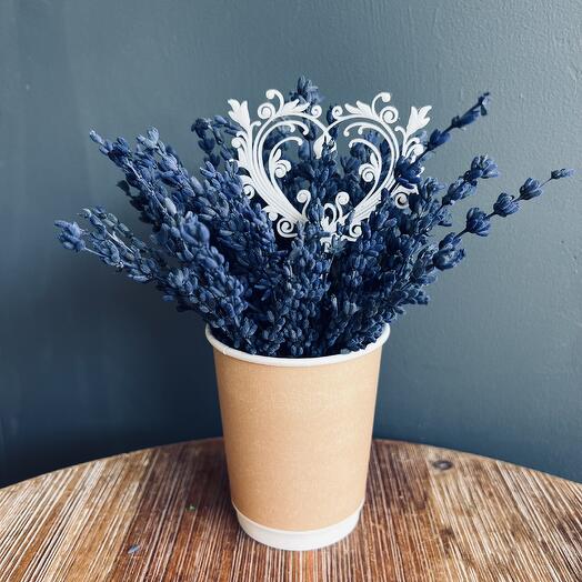 Стабилизированная лаванда интерьерная