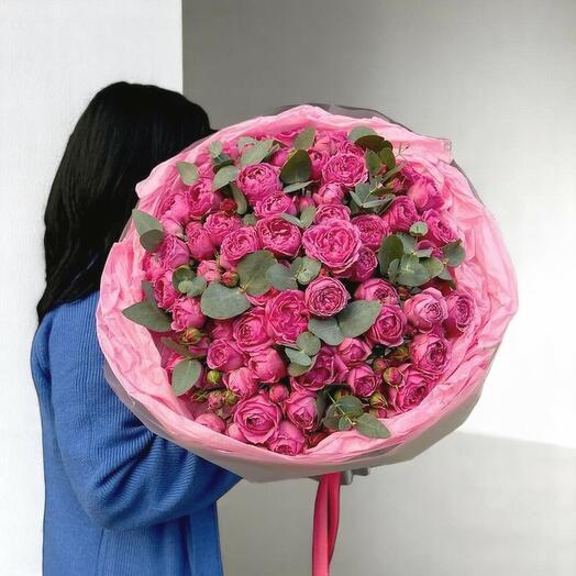 Peony bebe rose