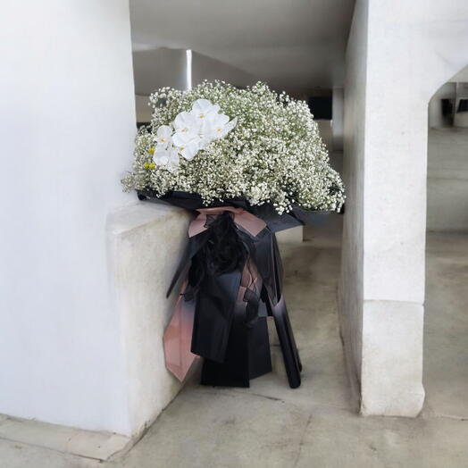 Giant Gypsophila