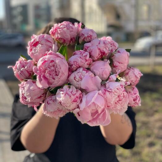 Премиум пионы Сара Бернар, 17 шт