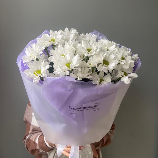 Фиолетовые луга 🌸