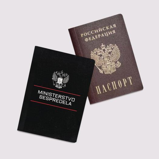 Обложка на паспорт женская, для документов "Ministerstvo bespredela"