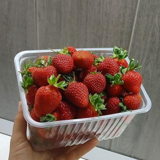 Клубника фермерская свежая